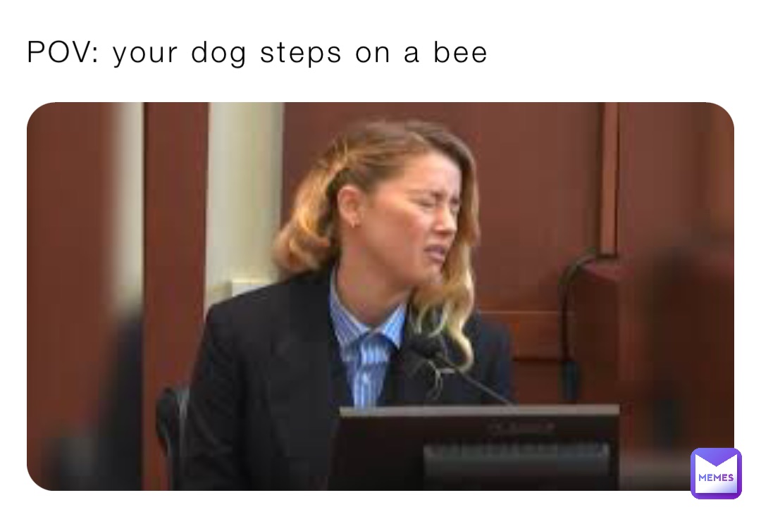 POV: your dog steps on a bee
