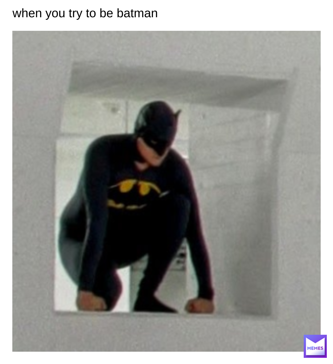 Post by nerdiest doge memes