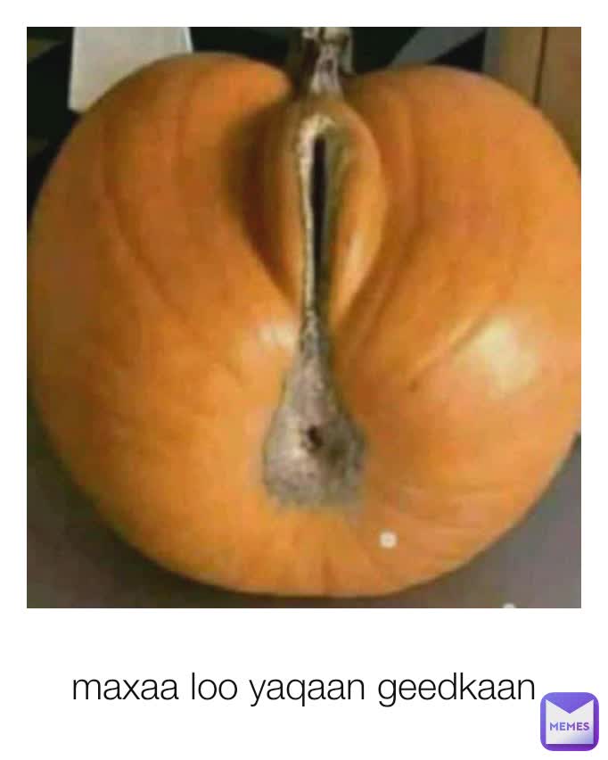 maxaa loo yaqaan geedkaan