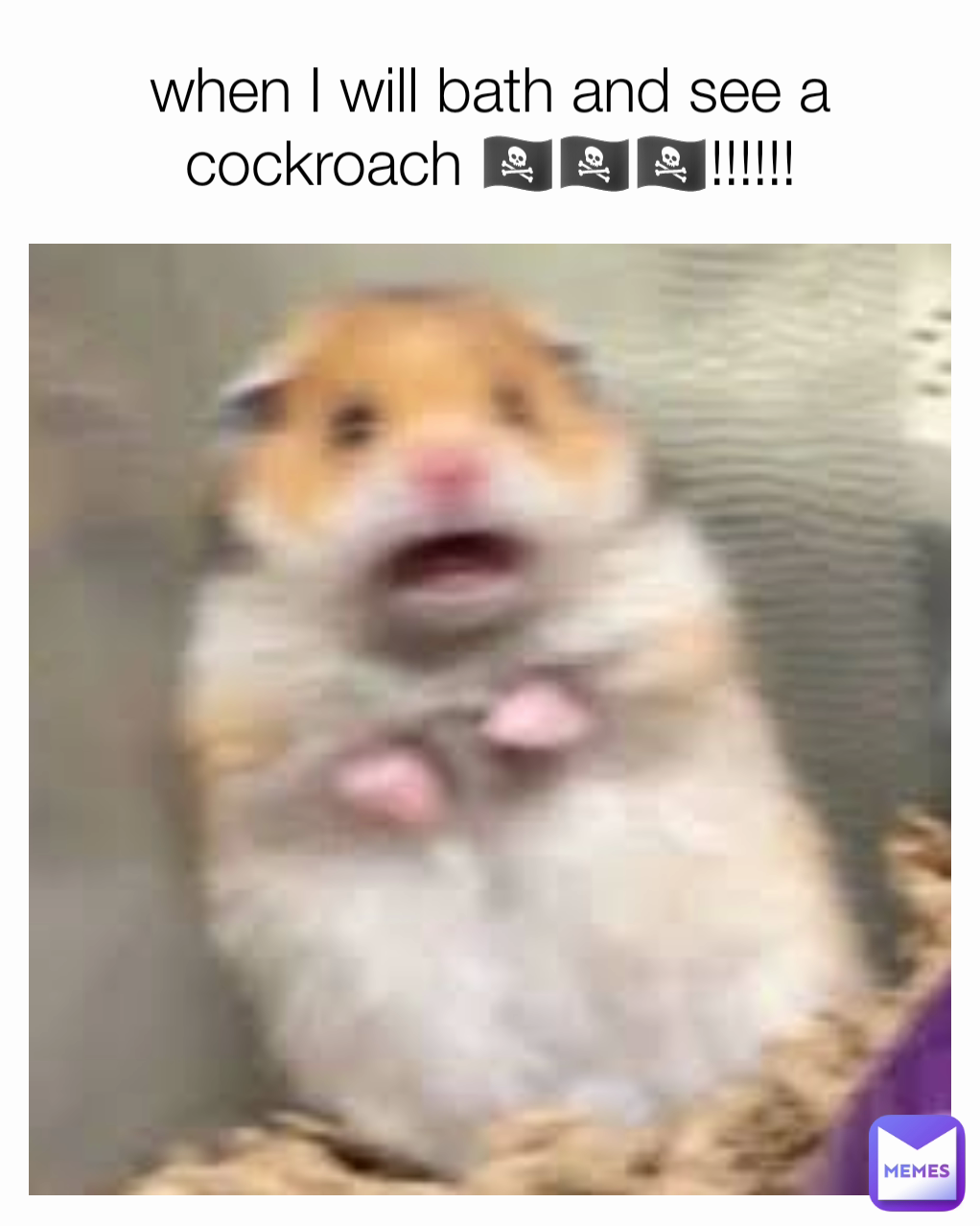 when I will bath and see a cockroach 🏴‍☠️🏴‍☠️🏴‍☠️!!!!!!