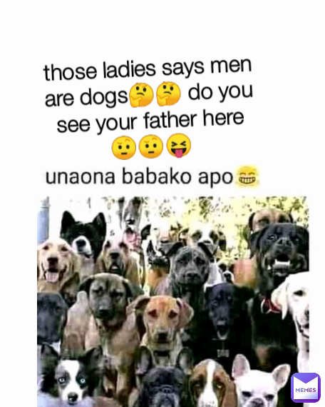 those ladies says men are dogs🤔🤔 do you see your father here🤨🤨😝