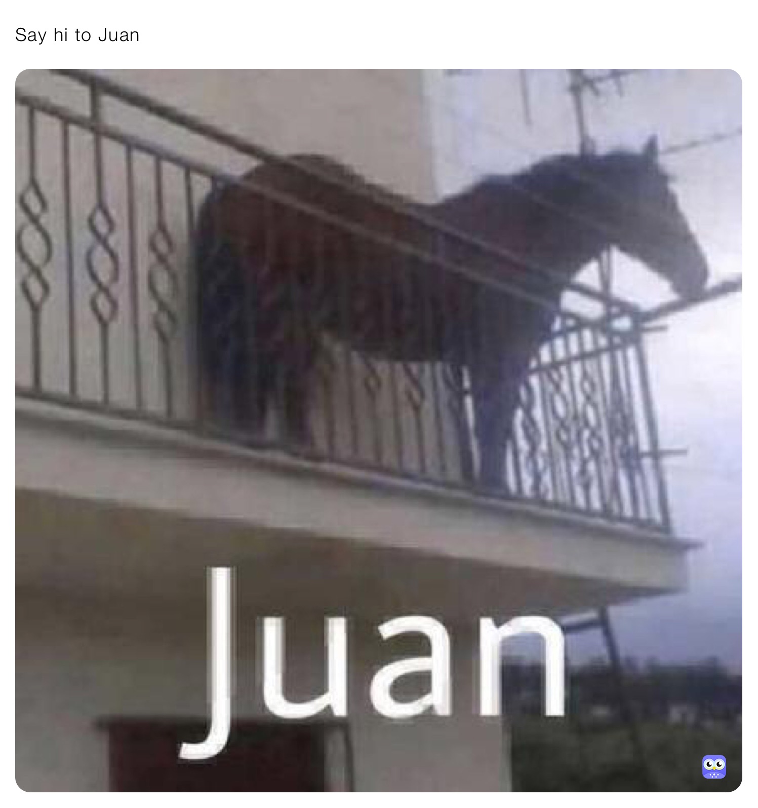 Say hi to Juan