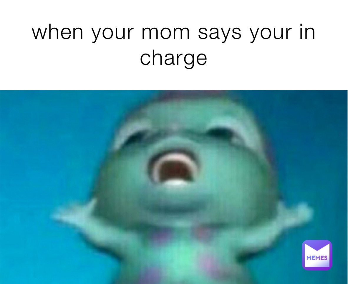 when your mom says your in charge