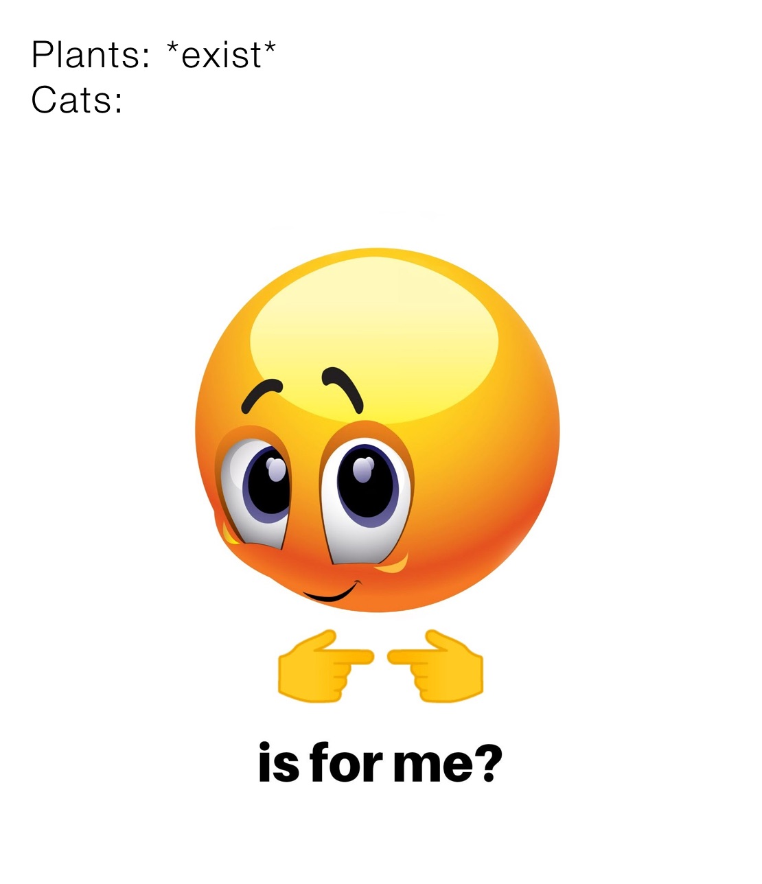 Plants: *exist*
Cats: