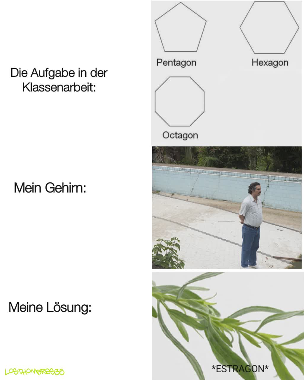 Die Aufgabe in der Klassenarbeit: *ESTRAGON* Mein Gehirn: Meine Lösung: LostHombres35