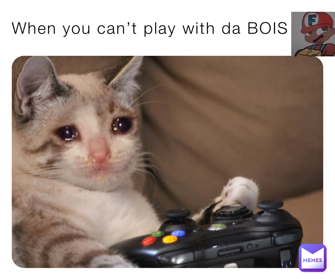 When you can’t play with da BOIS