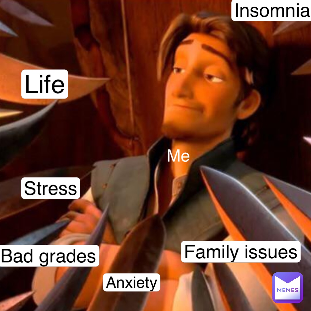 Me Life Anxiety Family issues Bad grades Insomnia Stress