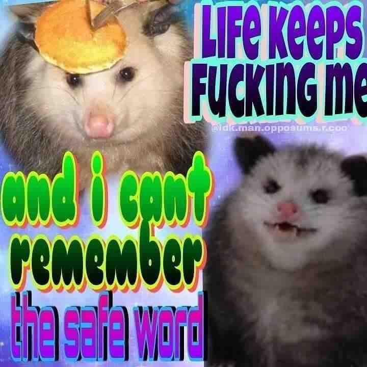 Meme shared by @TheTwinTigers