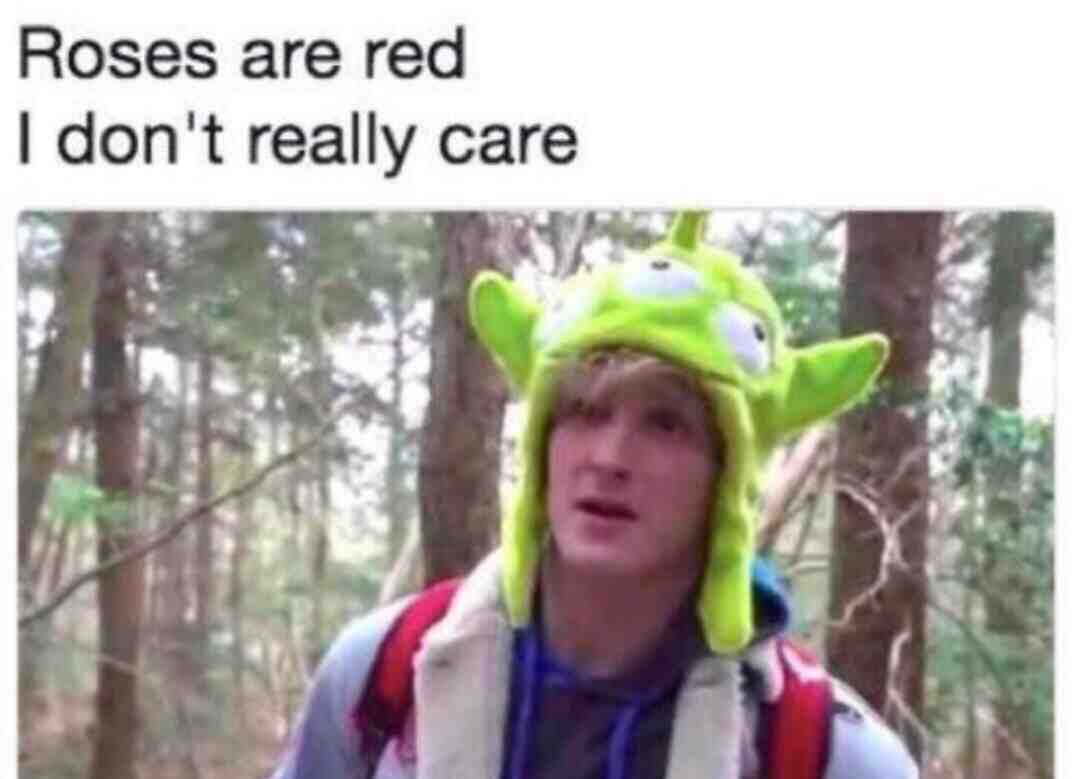 Meme preview