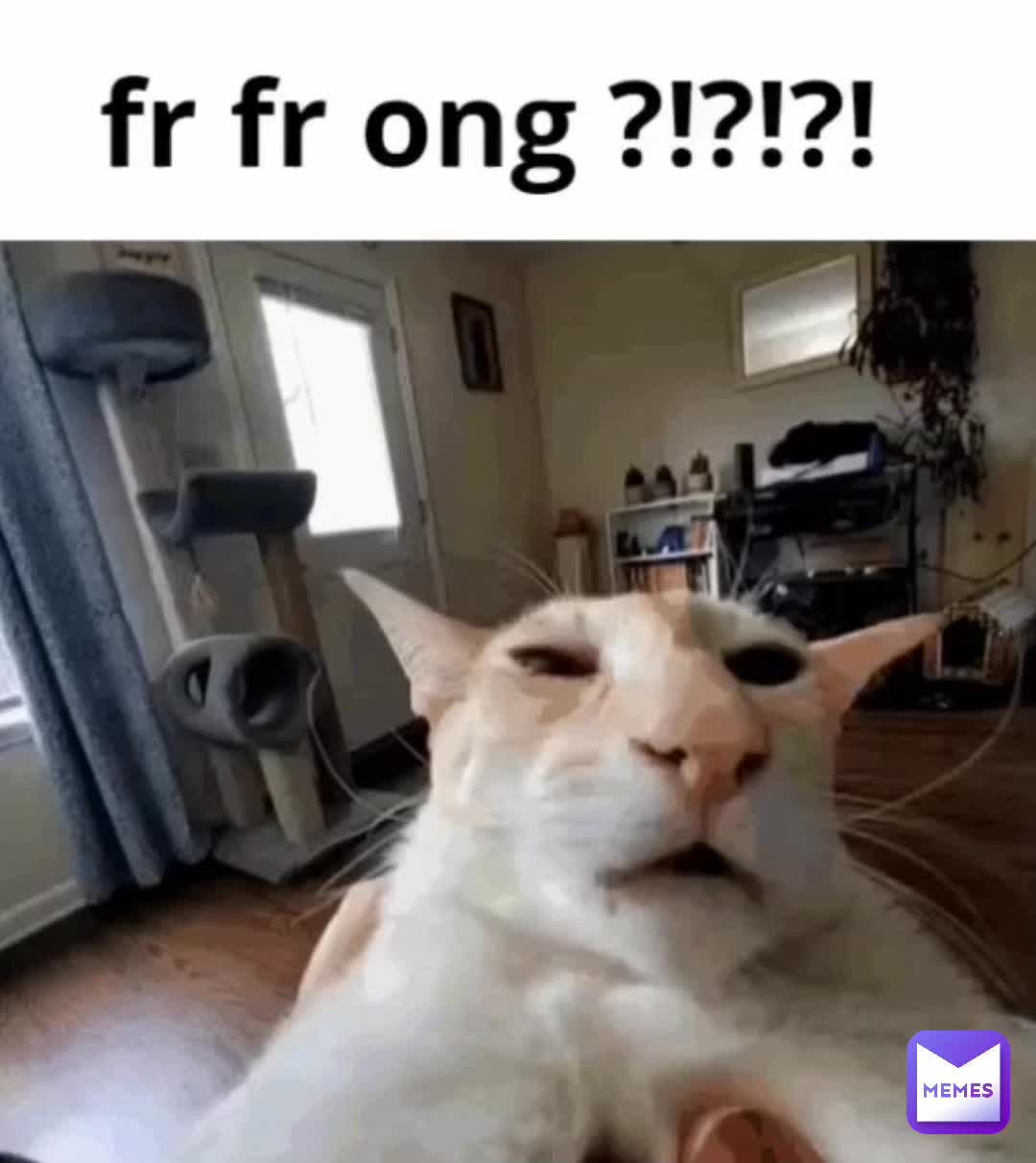 Meme shared by @TheTwinTigers