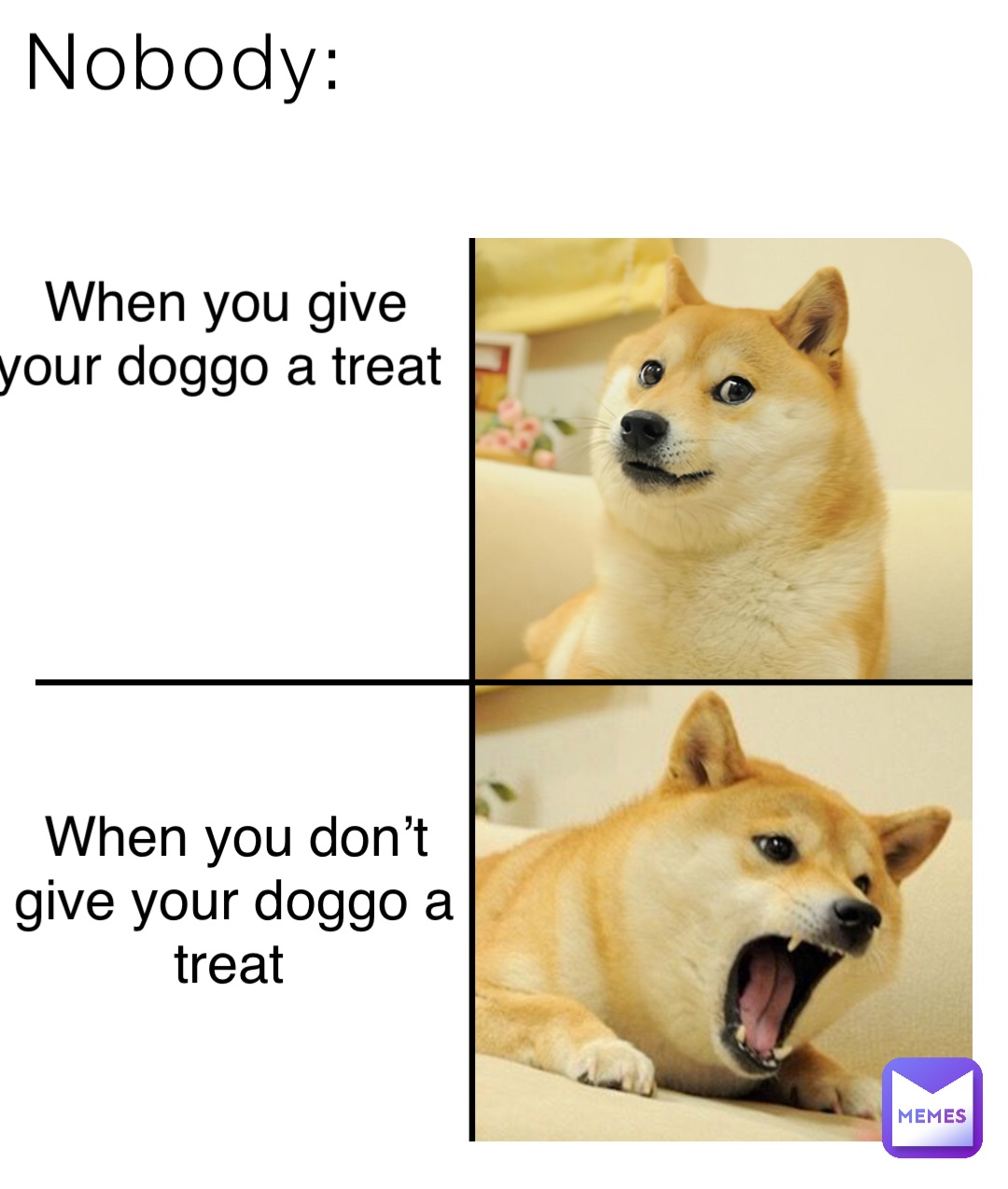 Nobody: When you give your doggo a treat When you don’t give your doggo a treat