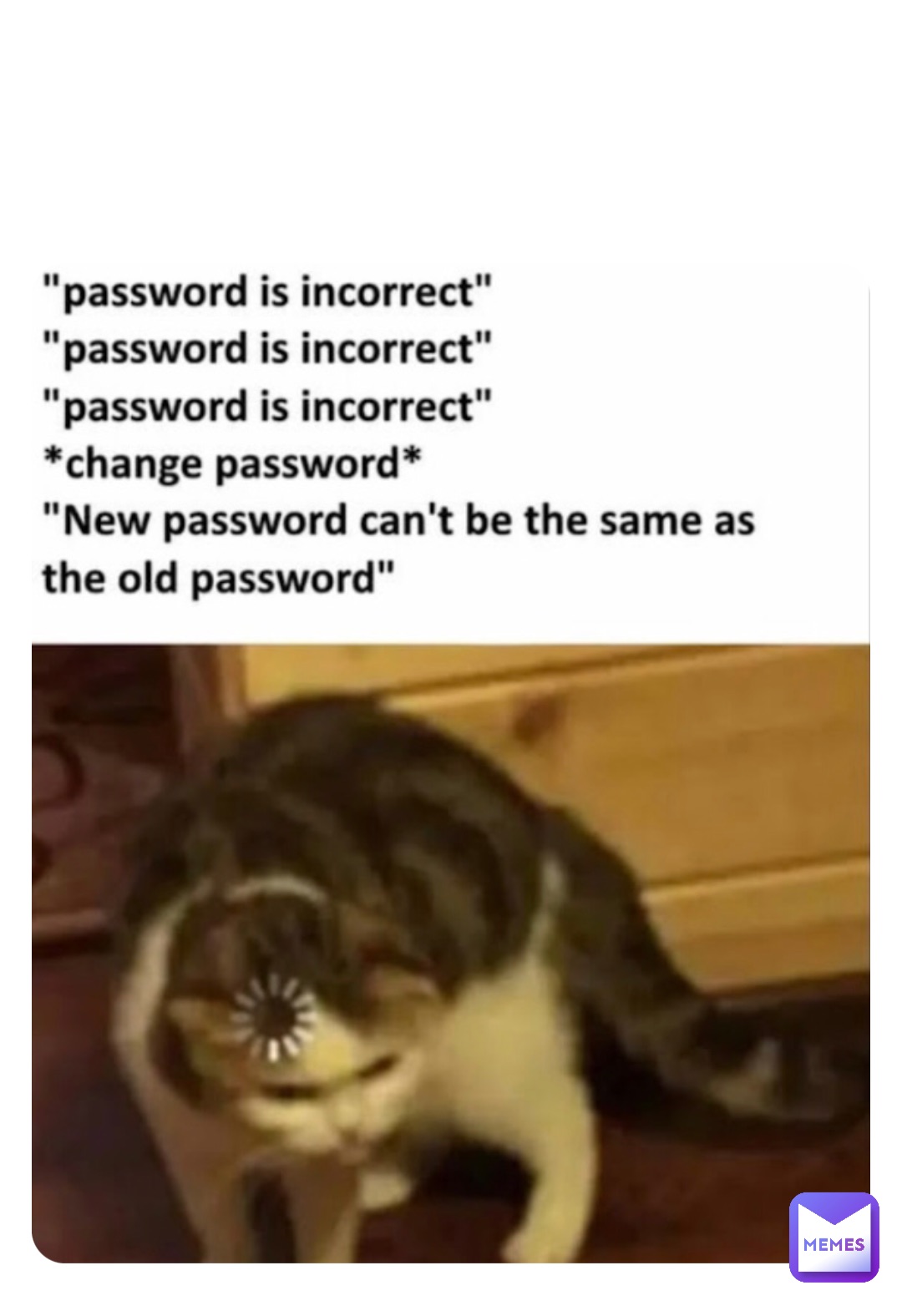 Meme by random_memes_so