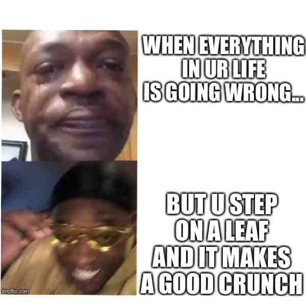 Meme shared by @Karina123r456