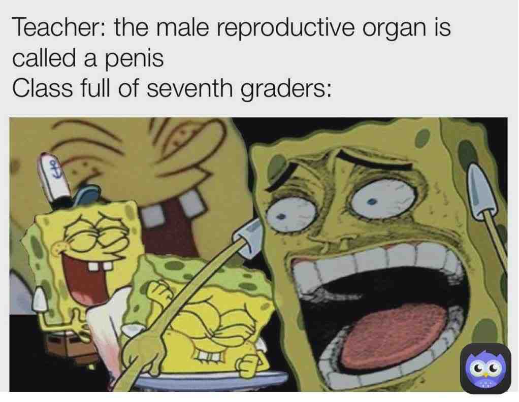 Meme shared by @Karina123r456