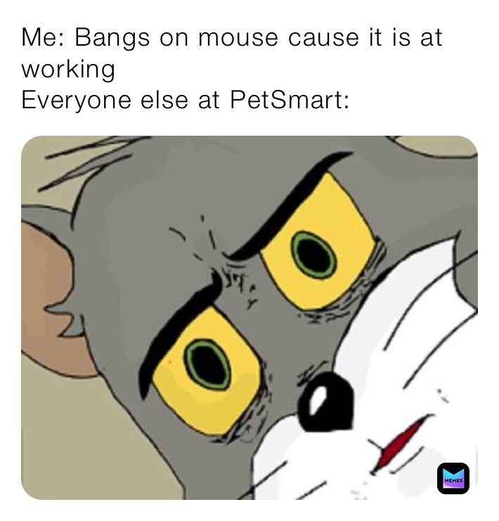 Me: Bangs on mouse cause it is at working 
Everyone else at PetSmart: 