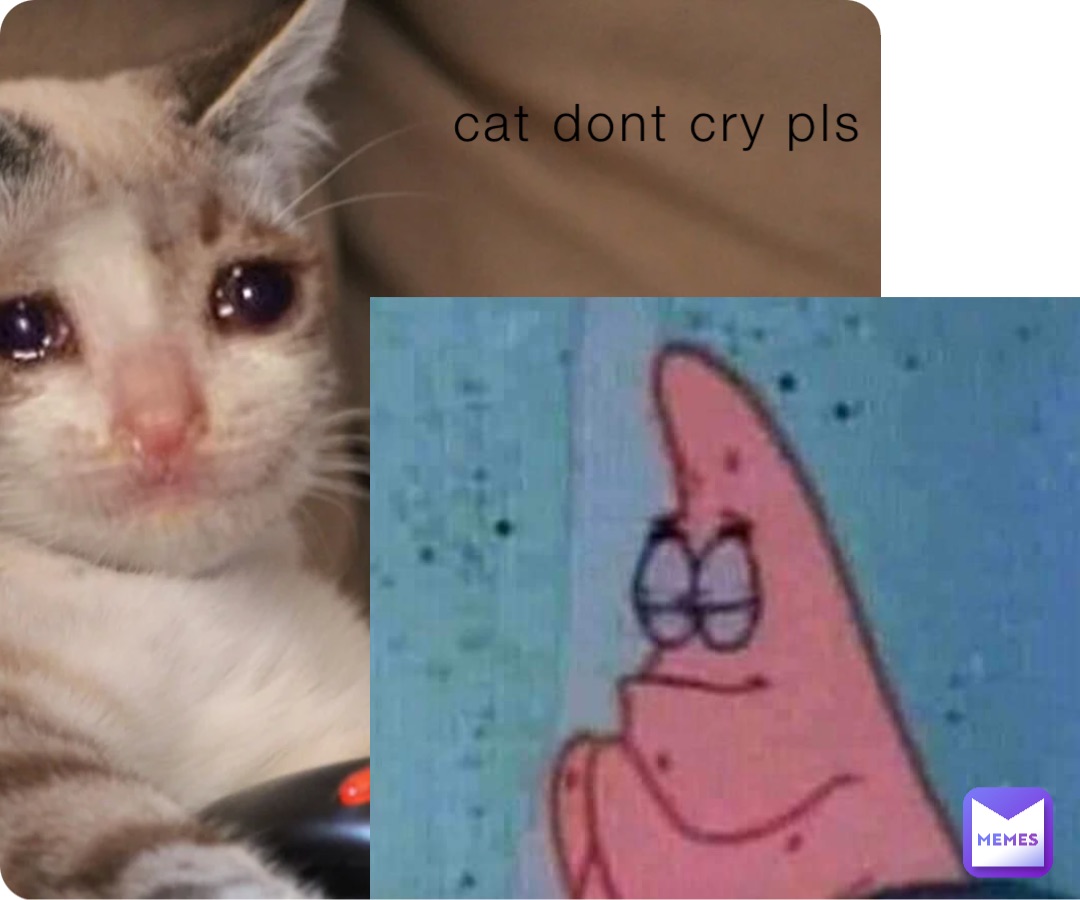 cat dont cry pls