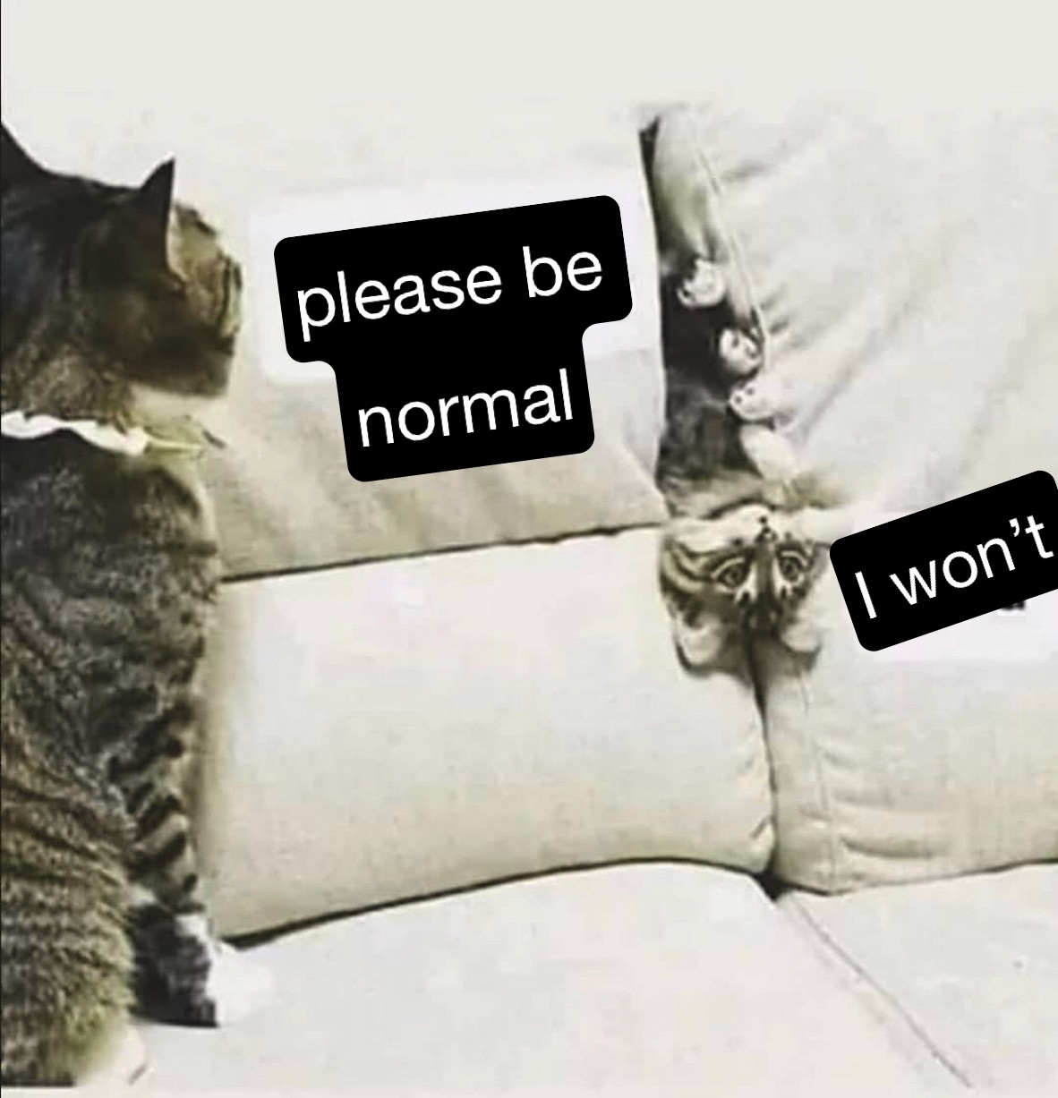 Meme by medi_medina_23