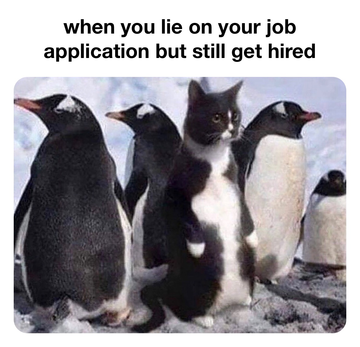 Meme by medi_medina_23