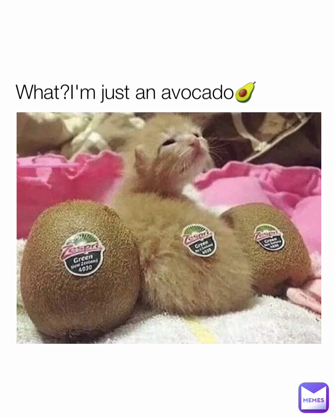 What?I'm just an avocado🥑