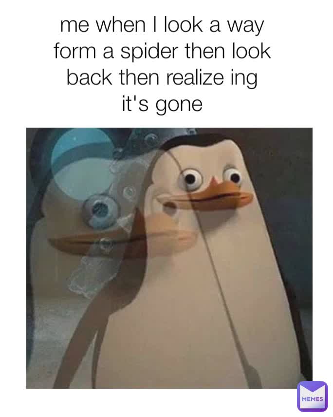 me when I look a way form a spider then look back then realize ing it's gone