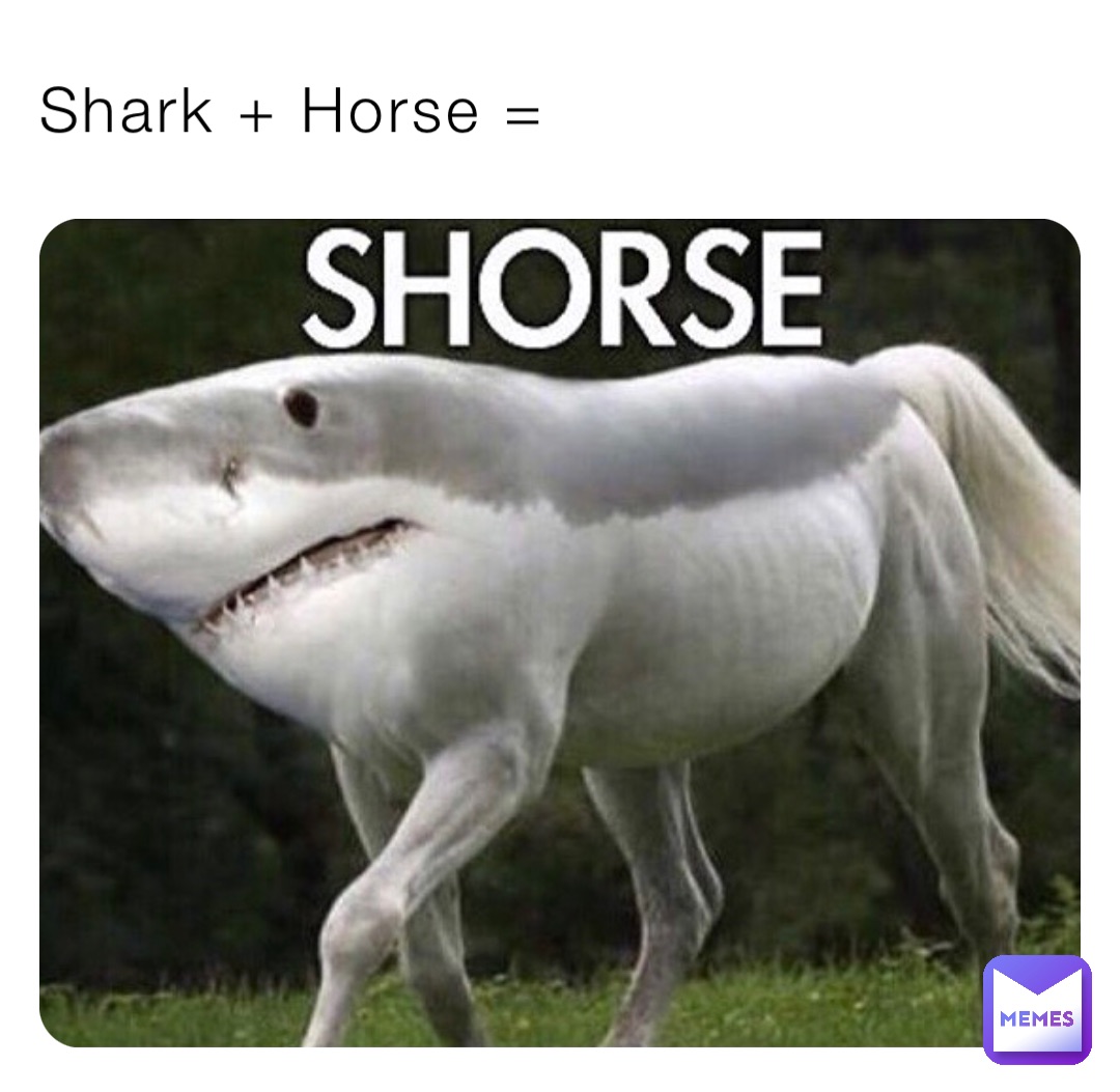 Shark + Horse =