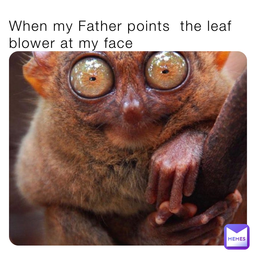 When my Father points  the leaf blower at my face