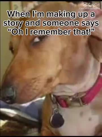 Meme shared by @betherina