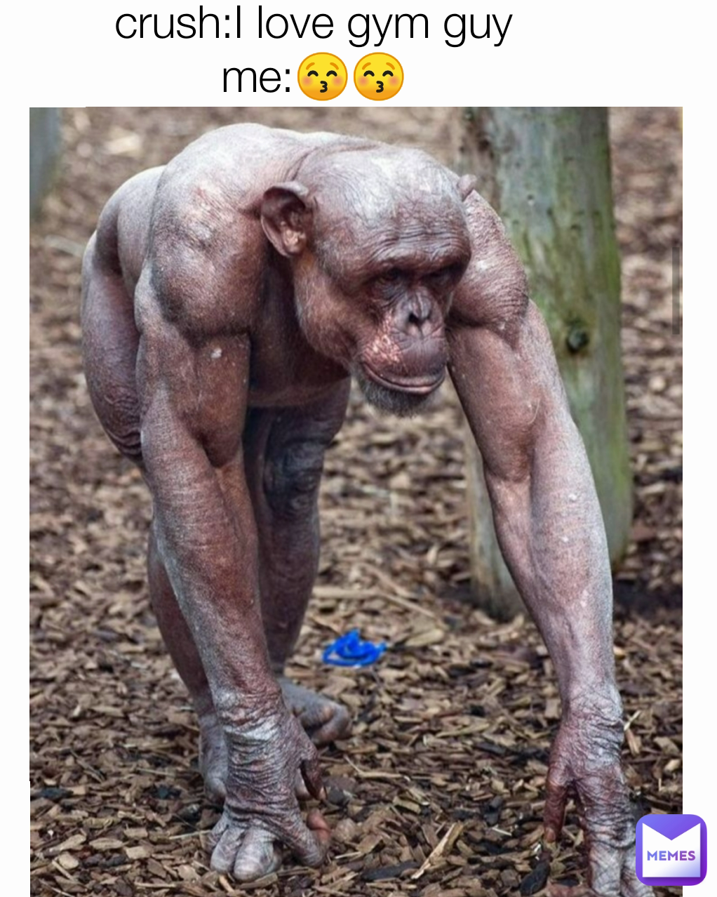 crush:I love gym guy
me:😚😚