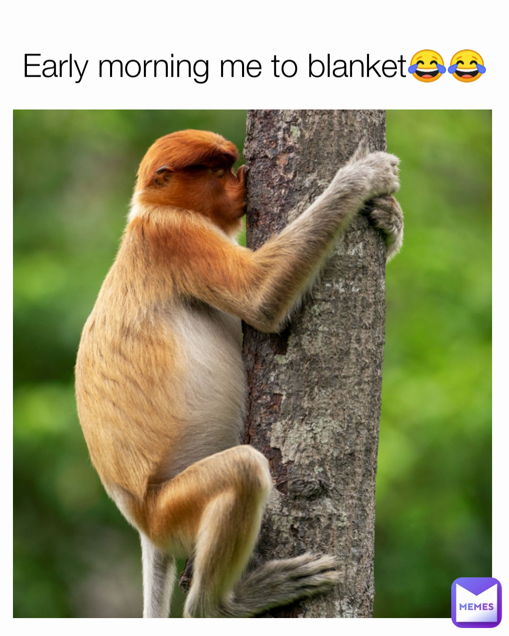Early morning me to blanket😂😂