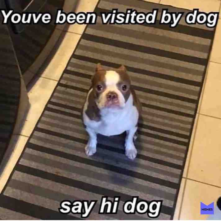 Meme shared by @Meme_king_2012