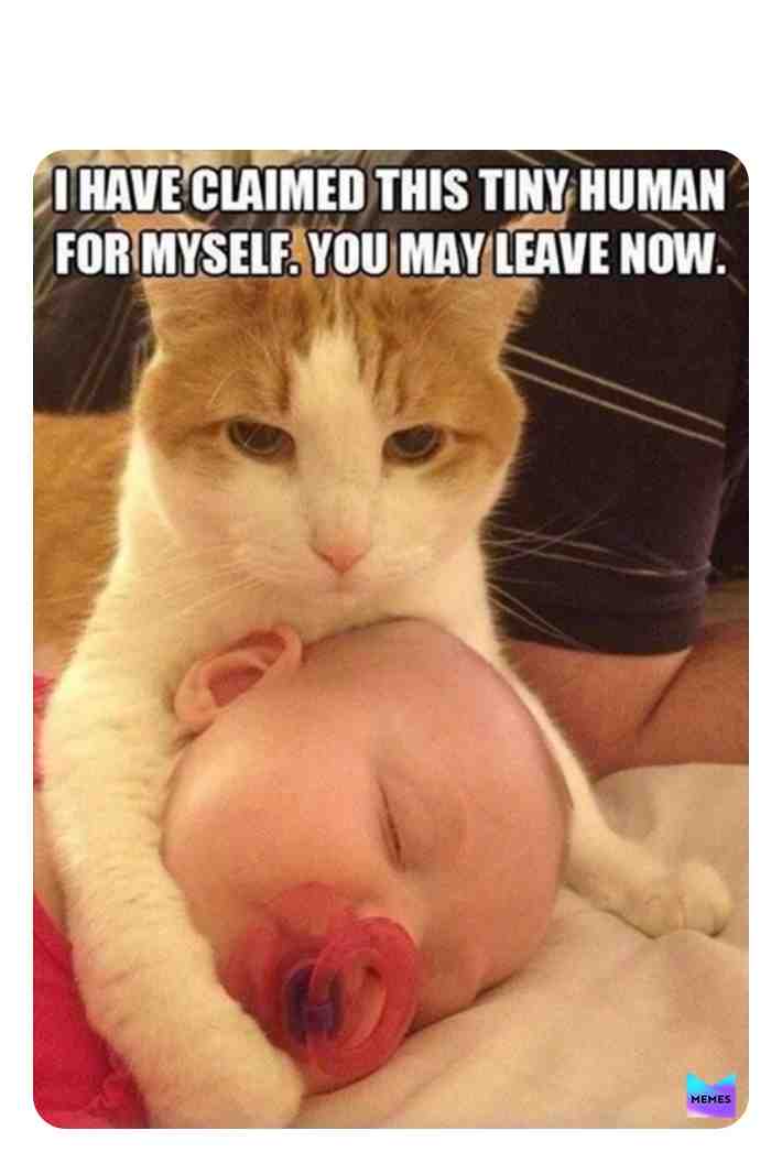 Meme shared by @Meme_king_2012