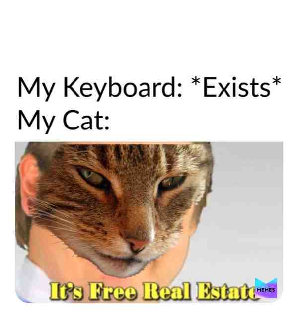 Meme shared by @Meme_king_2012