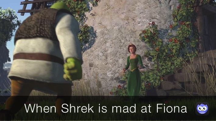 When Shrek is mad at Fiona ￼