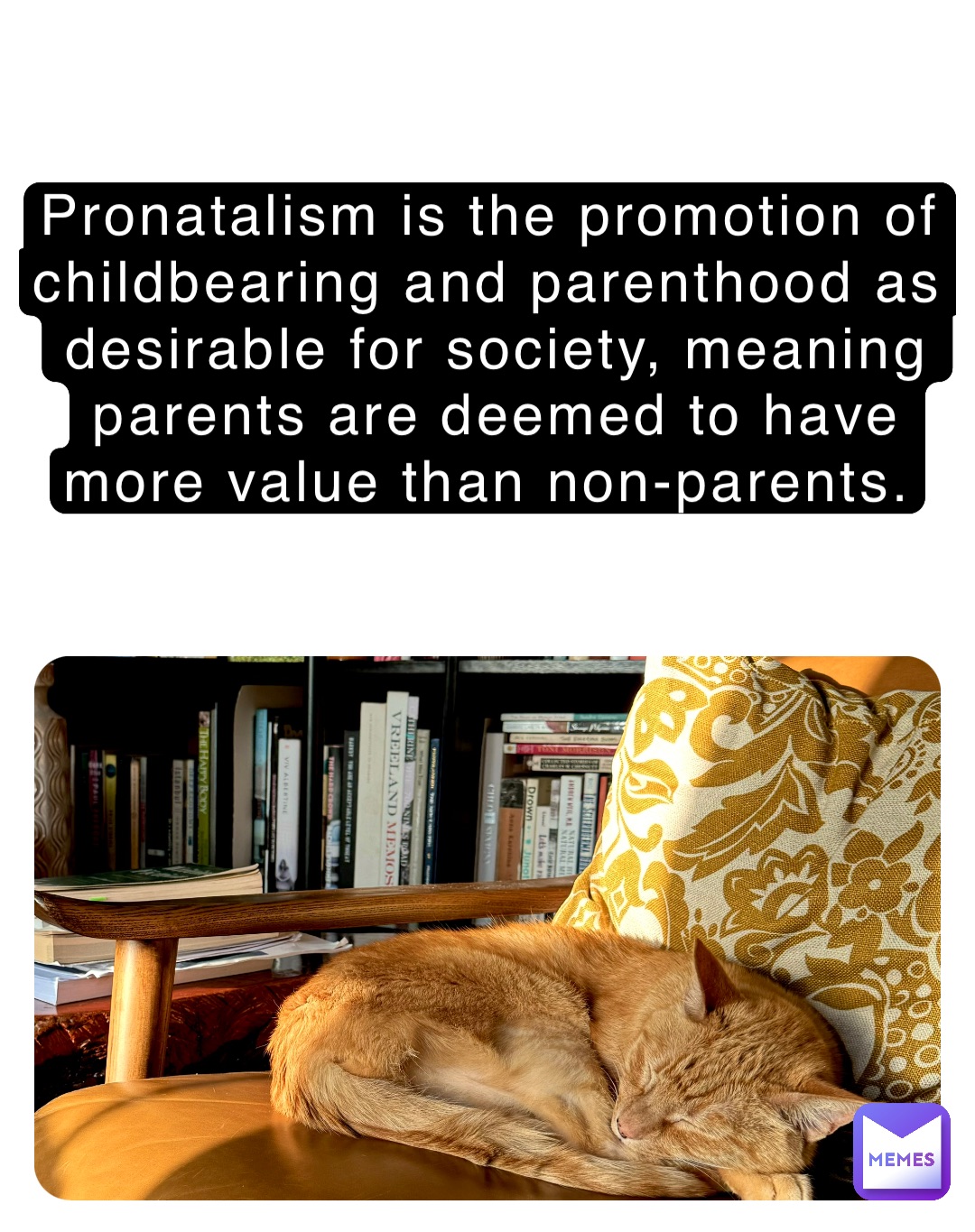 Pronatalism is the promotion of childbearing and parenthood as desirable for society, meaning parents are deemed to have more value than non-parents.