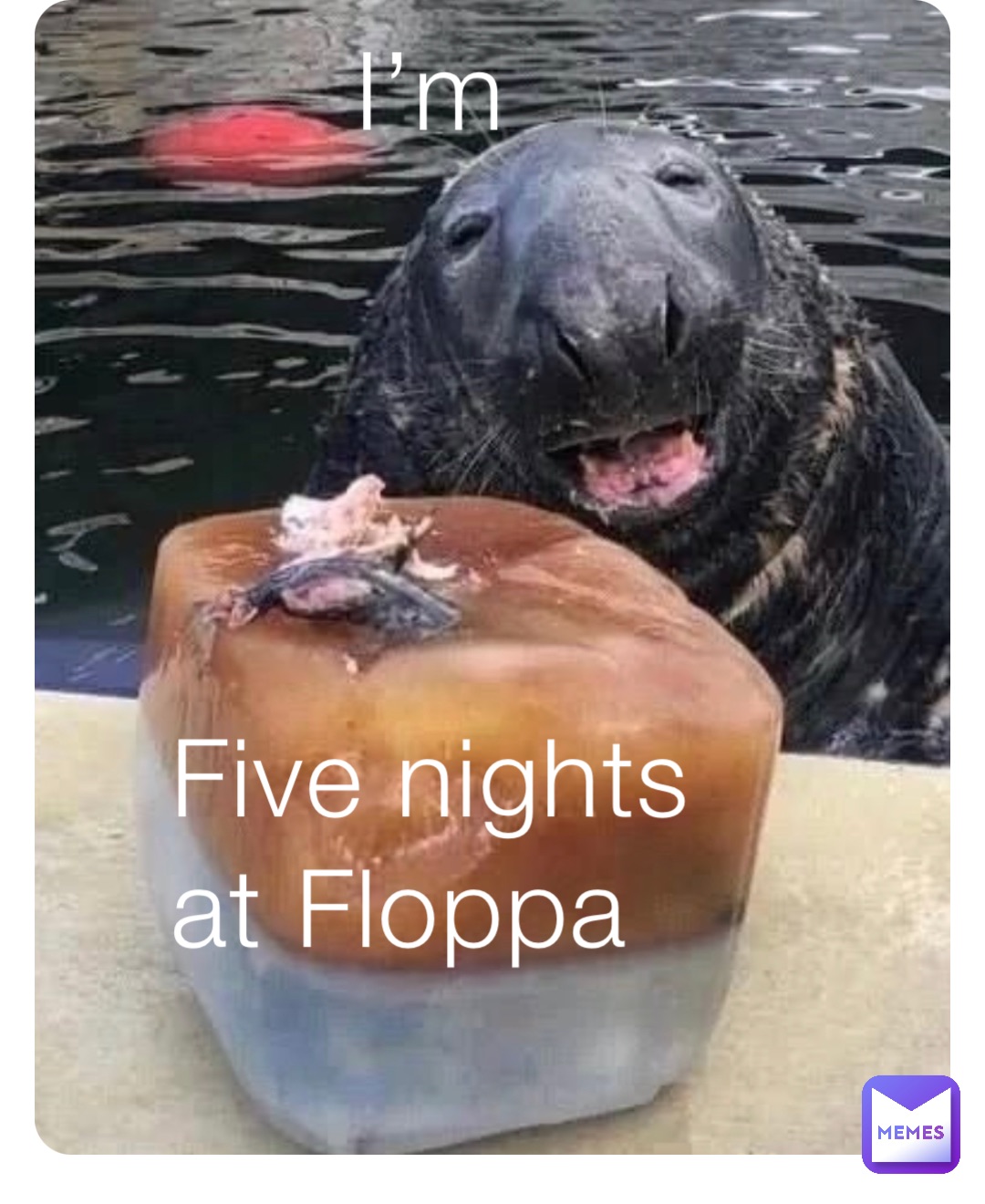 I’m Five nights at Floppa