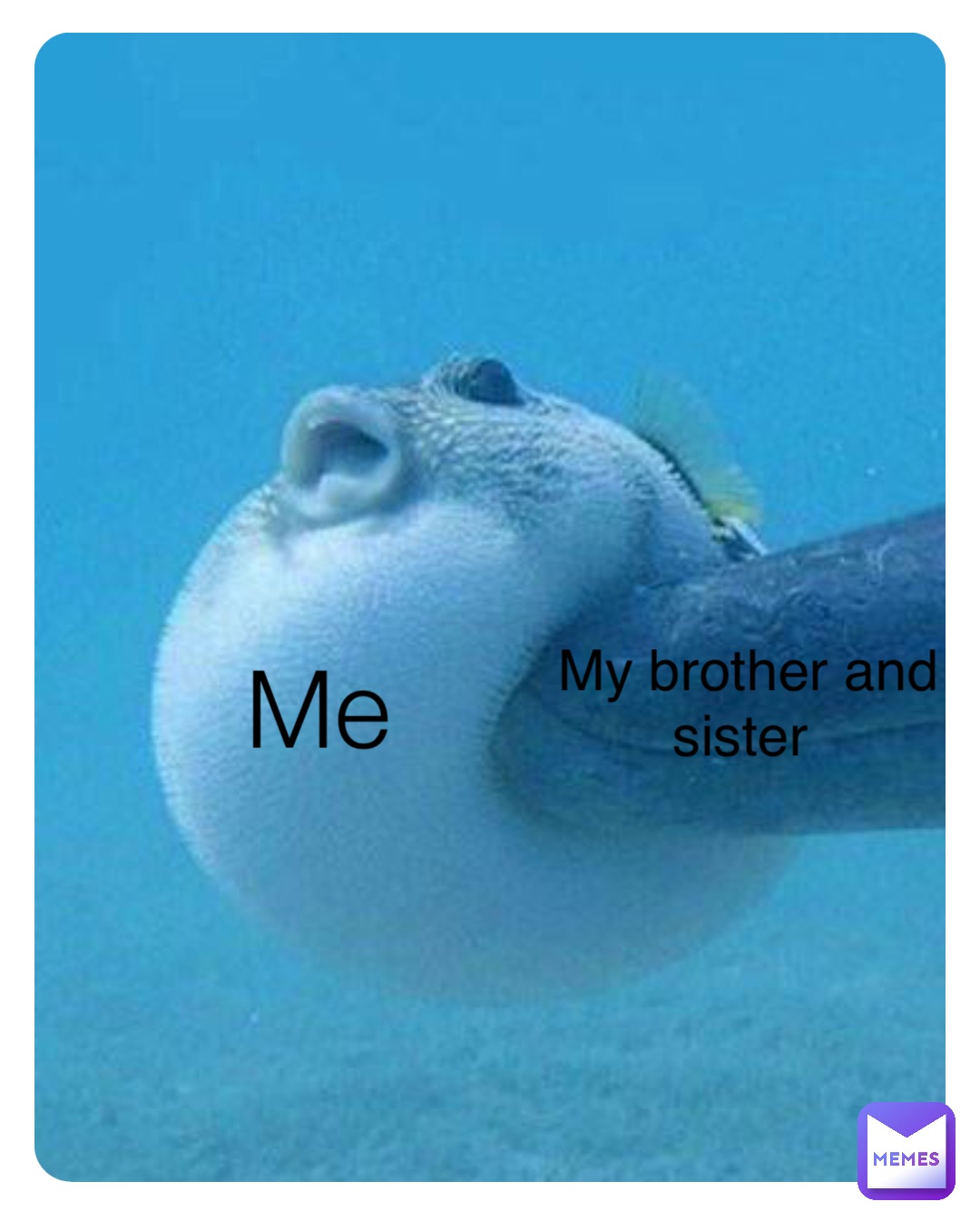 me-my-brother-and-sister-wetresadik-memes