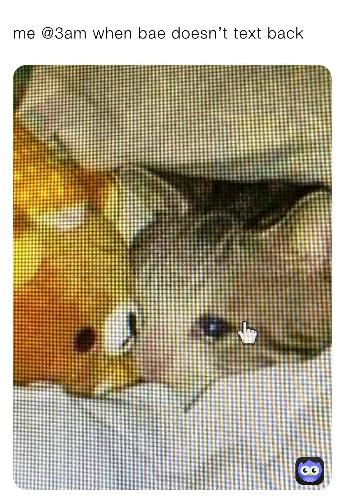 me @3am when bae doesn’t text back 