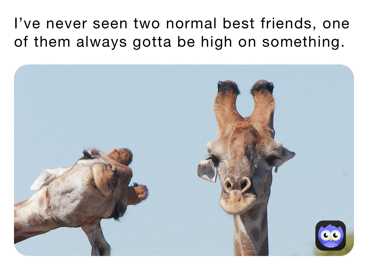 Meme by asssscheekssss