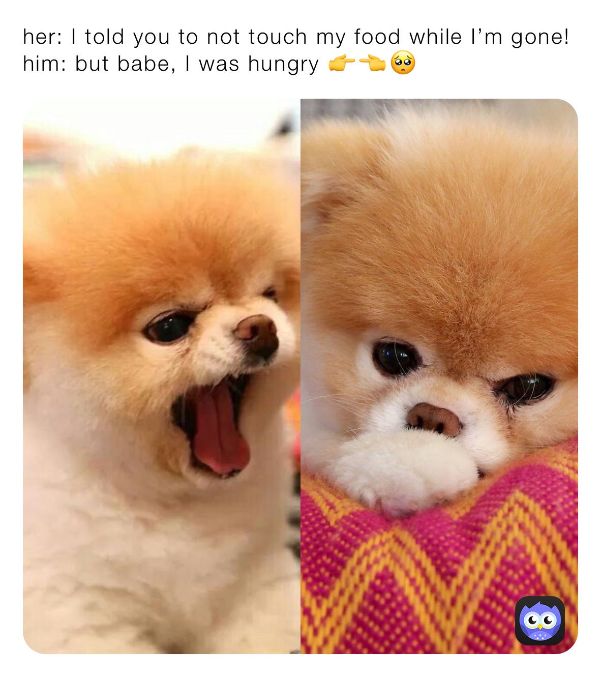 Meme by asssscheekssss