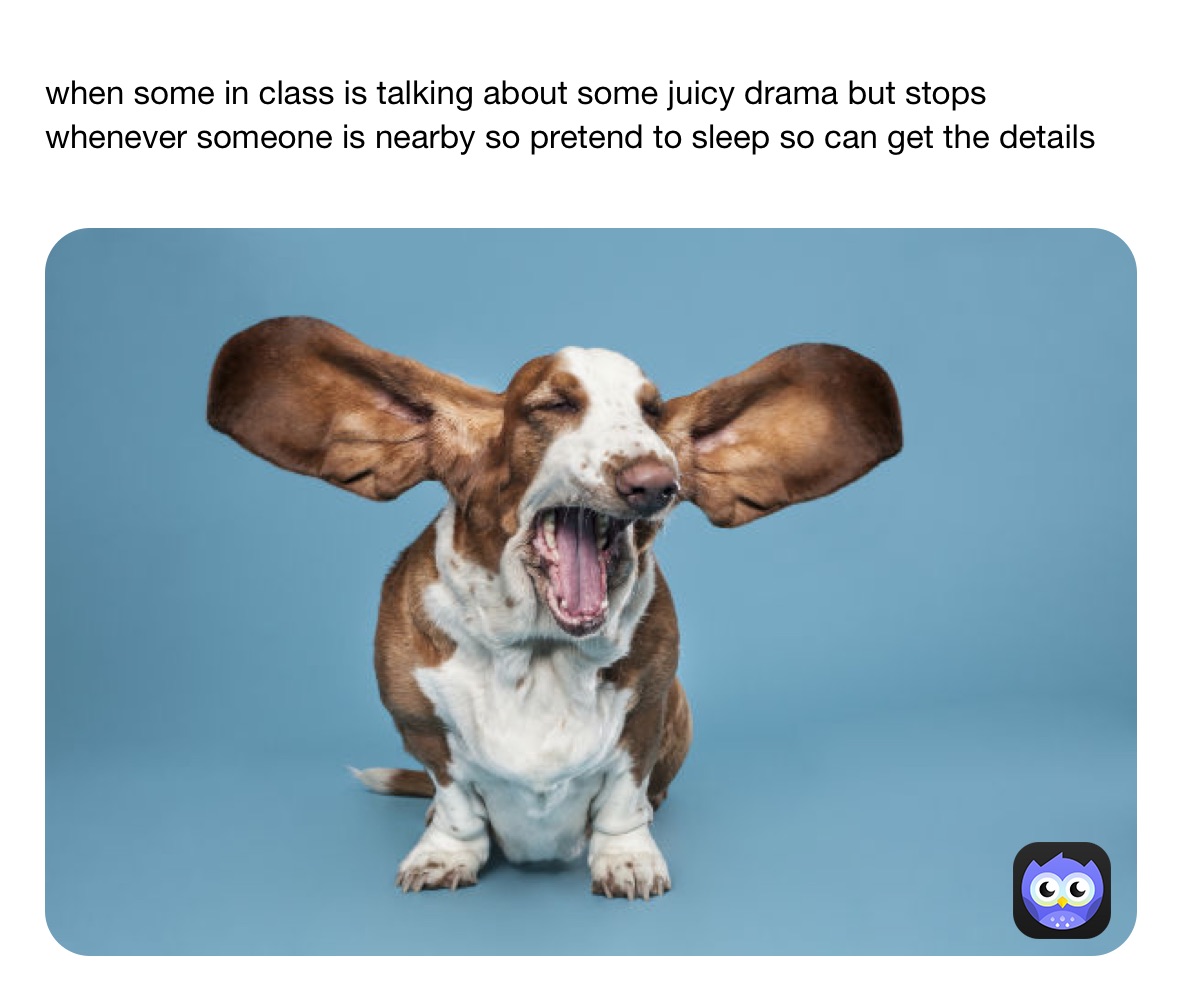 Meme by asssscheekssss