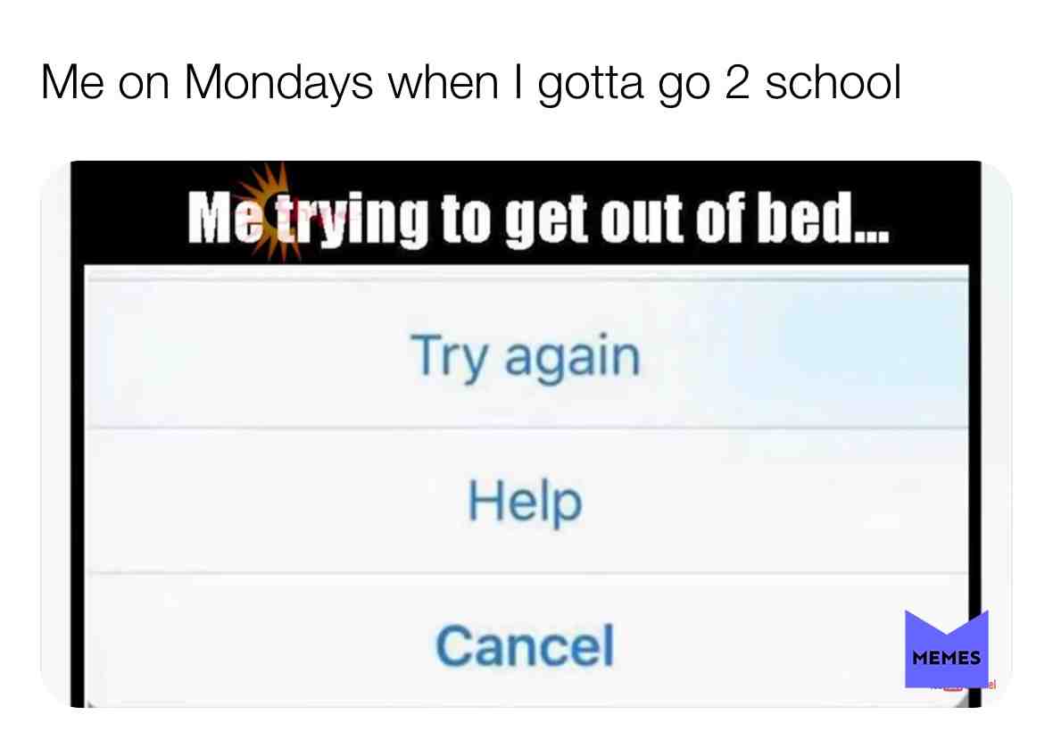 #bedmemes #memes #funnymemes