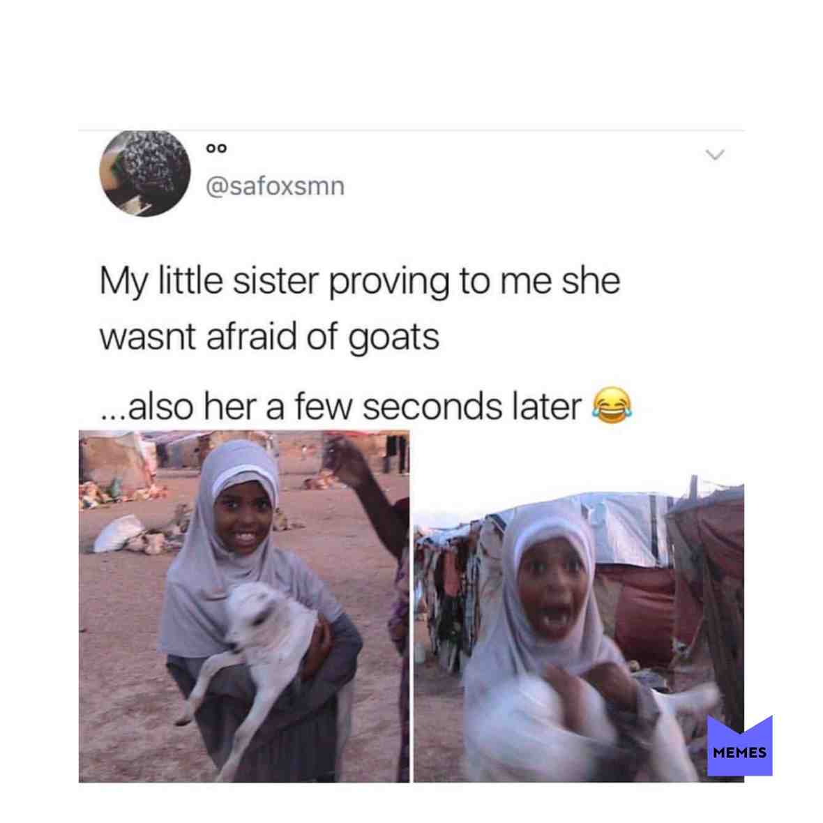 #memes #funnymemes #goatmemes #goat