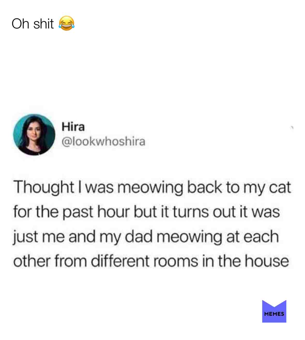 #memes #funnymemes #catmemes