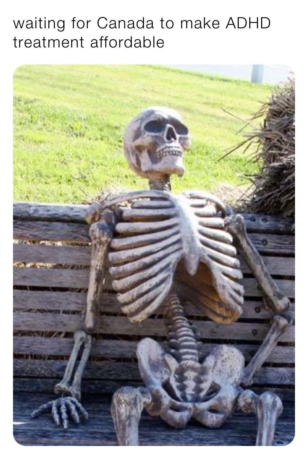 waiting for Canada to make ADHD treatment affordable