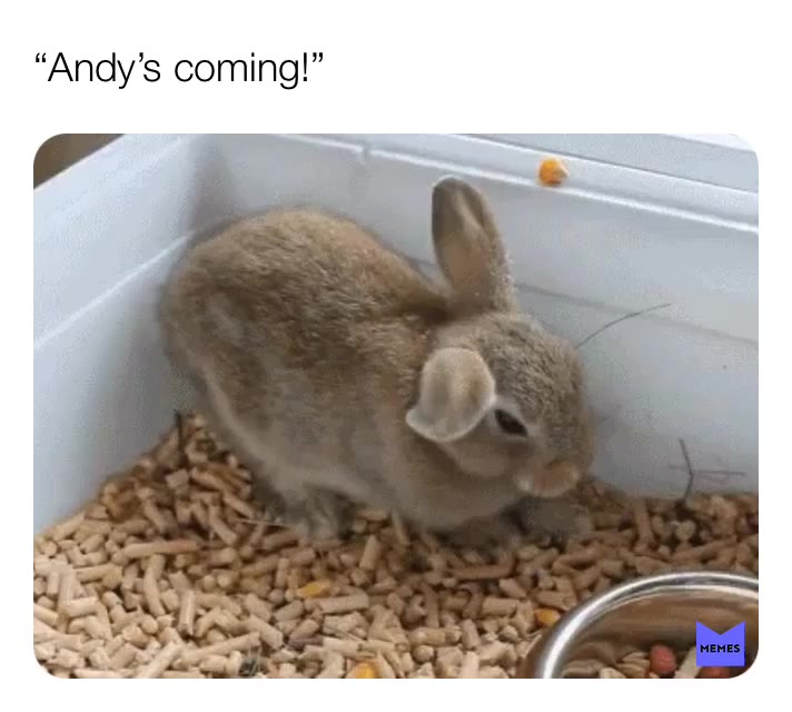 “Andy’s coming!!😂” #toystory #memes #lol