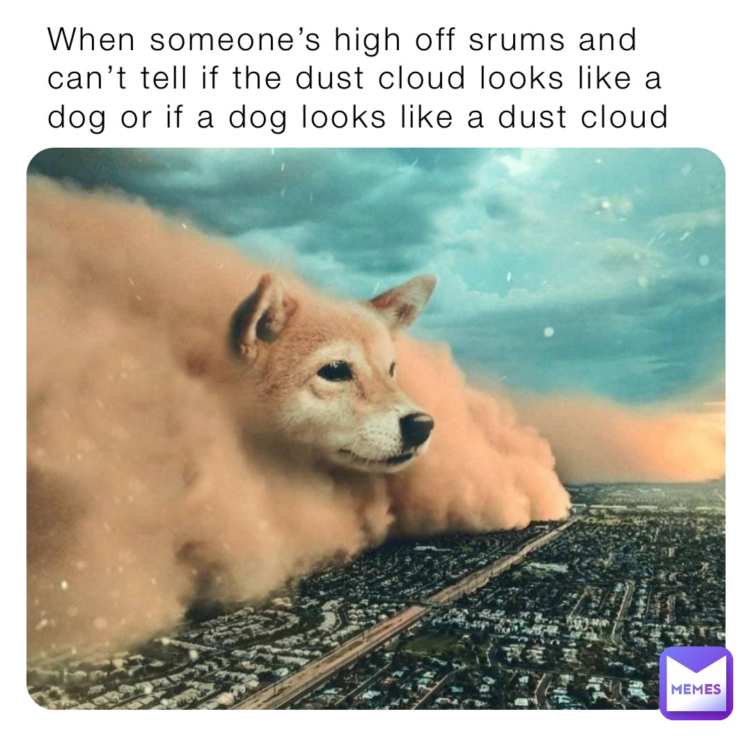 When someone’s high off srums and can’t tell if the dust cloud looks like a dog or if a dog looks like a dust cloud