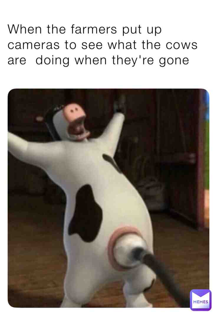 Meme shared by @TheMemePlace