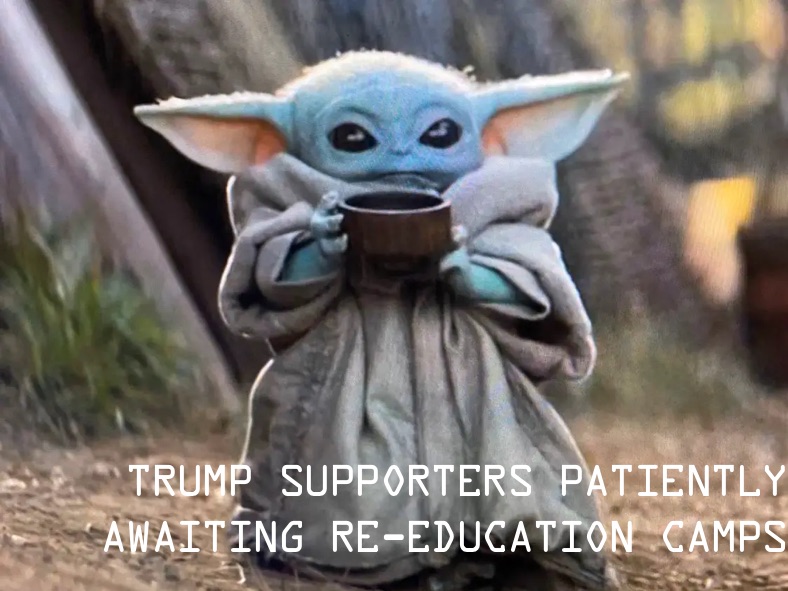 Trump supporters patiently awaiting re-education camps