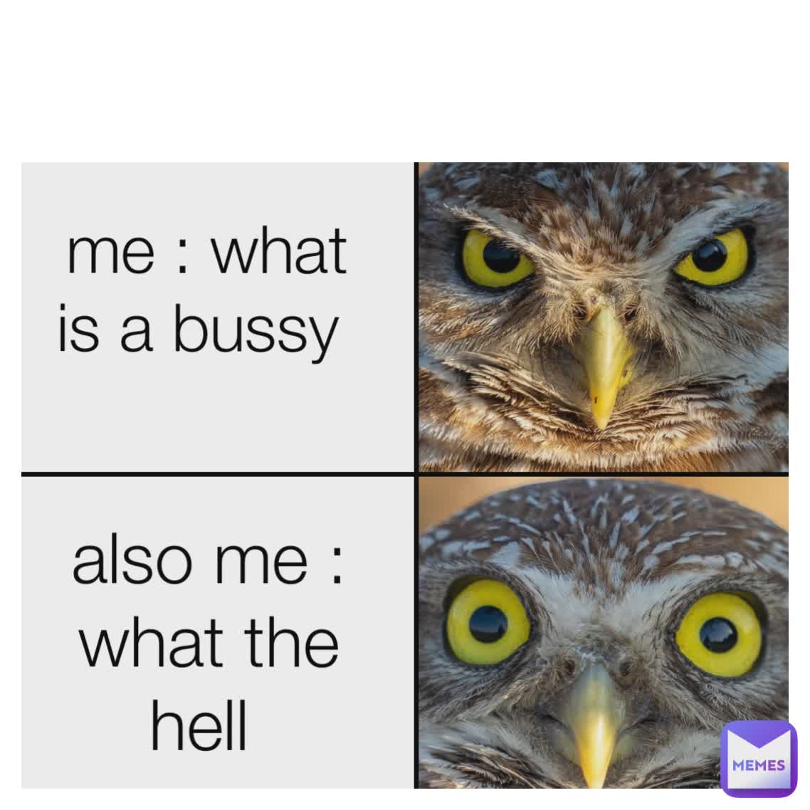 Type Text me : what is a bussy  also me : what the hell 