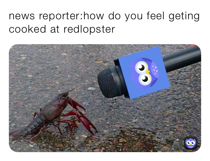 news reporter:how do you feel geting cooked at redlopster ￼